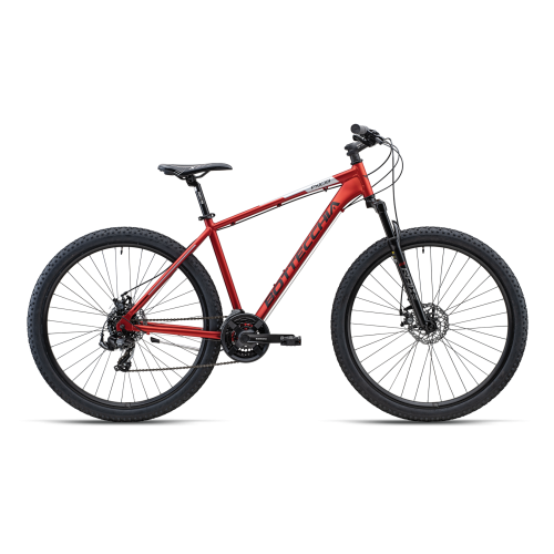 BOTTECCHIA 109